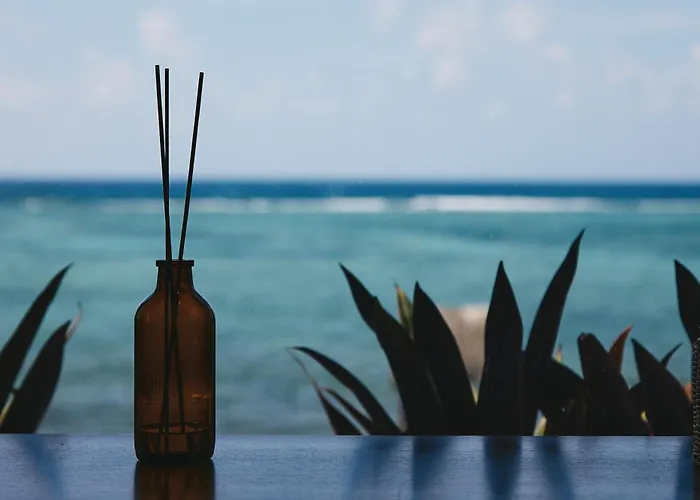 Casa Altamar