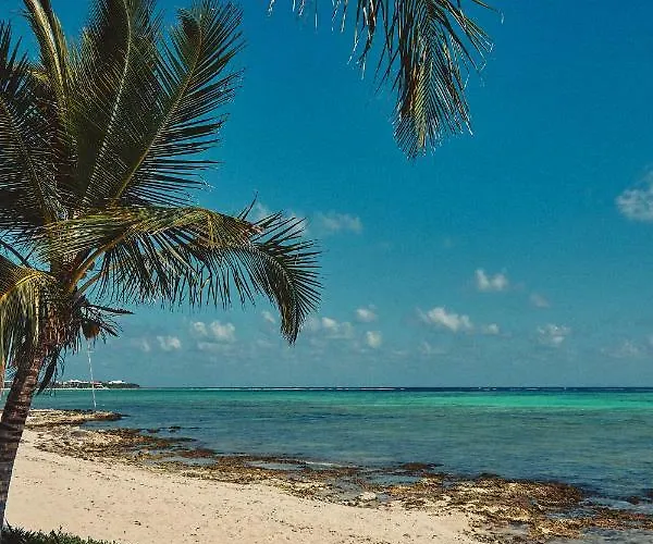 Casa Altamar Hotel Tulum